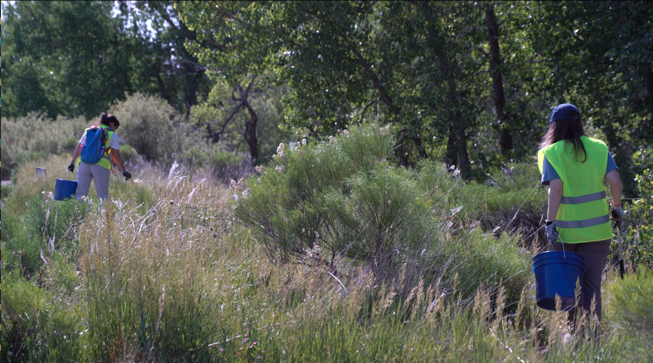 Sponsor a River Cleanup