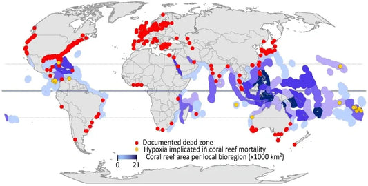 https://coastalscience.noaa.gov/project/assessing-the-threat-of-hypoxia-to-coral-reefs/