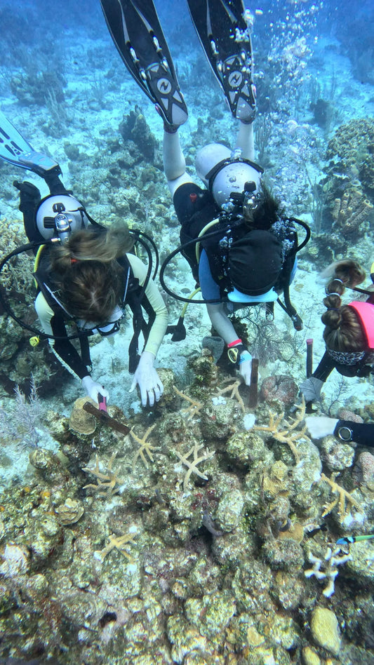 Coral Threats and Restoration Practices