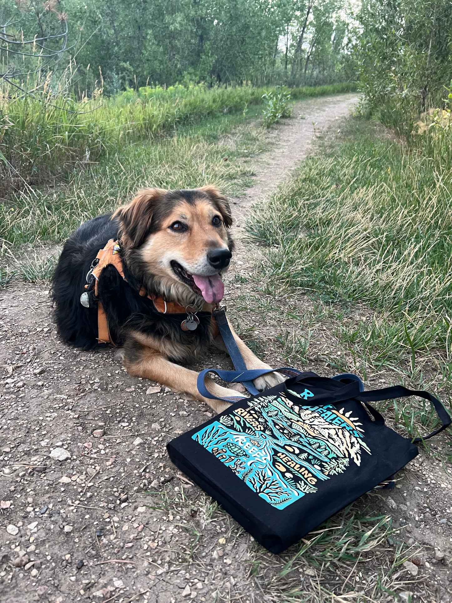 Reef Healers Day Bag